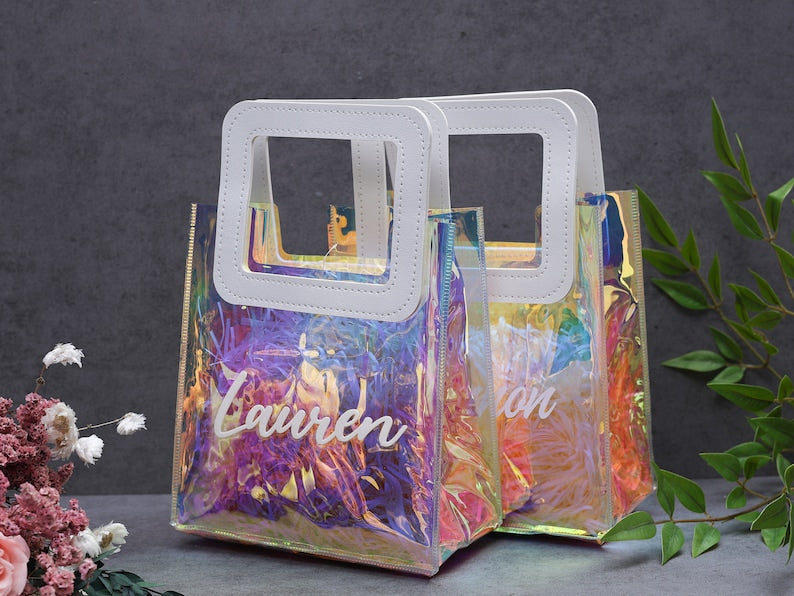 Nivel bags Holographic small Tote bag with Square handle go to with every outfit